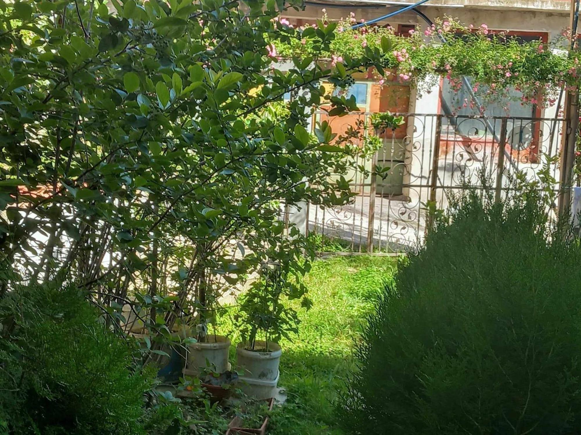 Apartman Turkana 1 SJJ Exteriör bild